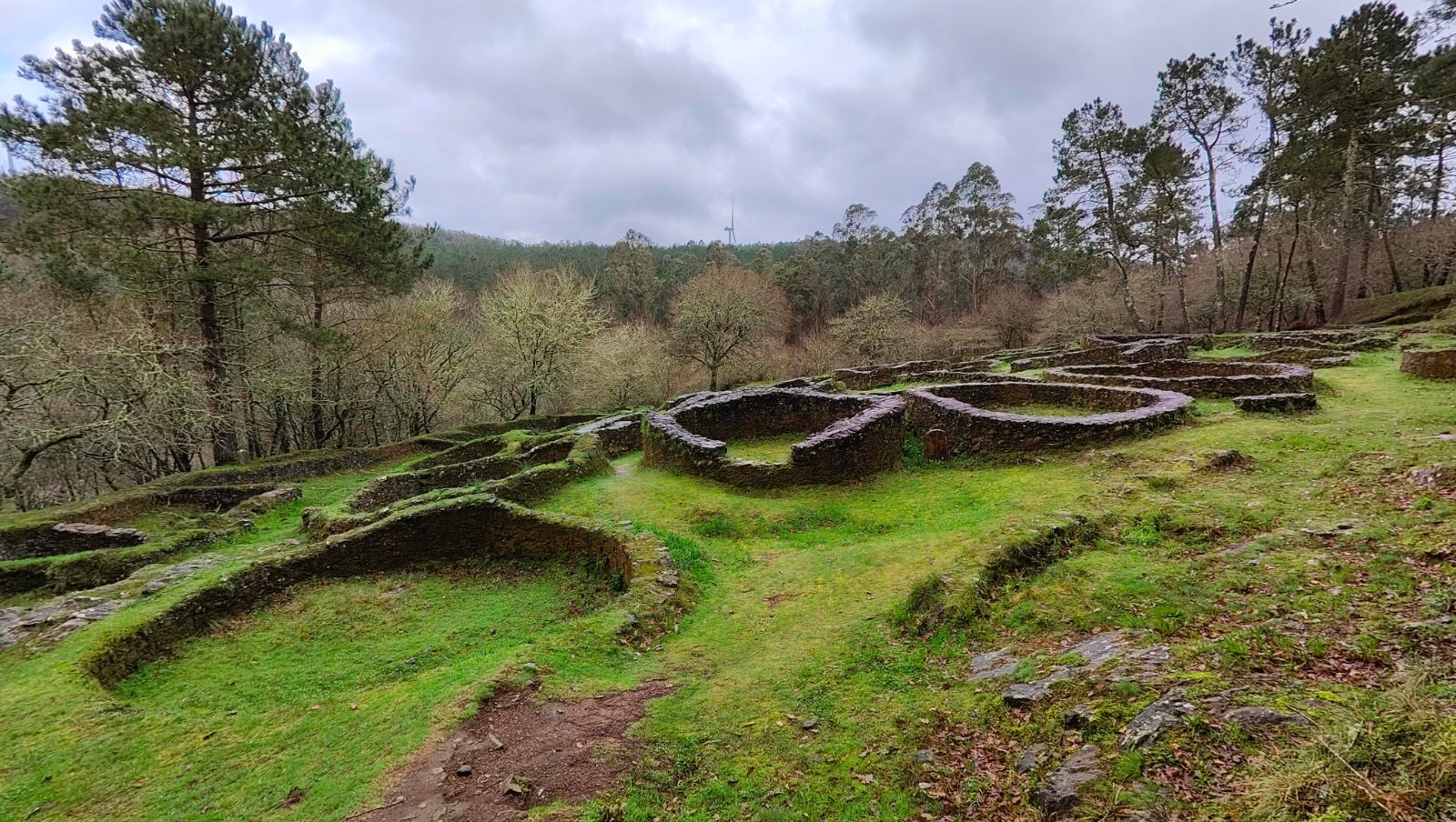 Castro de Borneiro — A Cidá entre los árboles