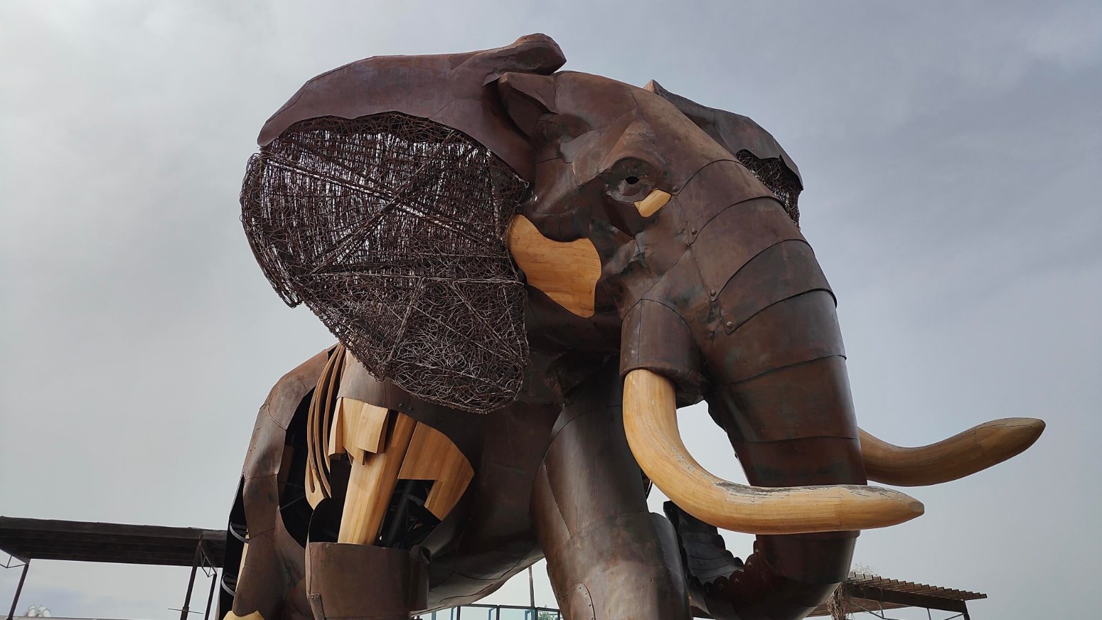 BIOPARC Valencia — Un recorrido por África